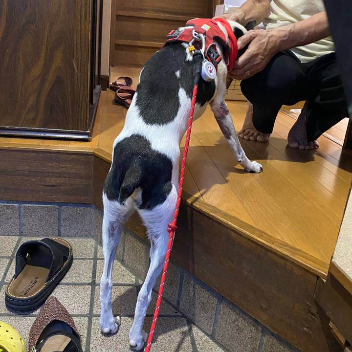 Cdc6a969 2f01 49fc a307 af46af00d5e8 1625574479396