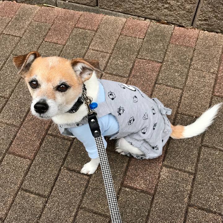 Cdc6b79b bf17 46e5 ae0f 0a53af06cb15 1614924015374