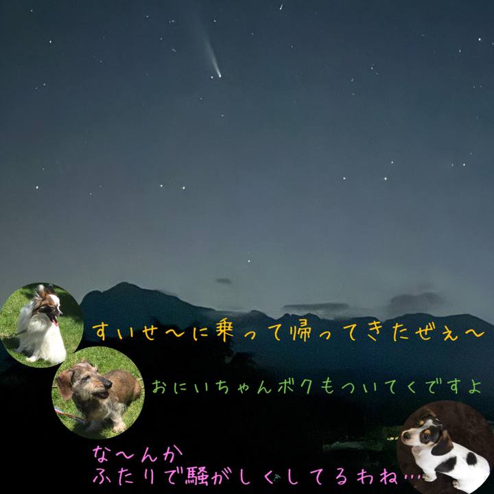 Cdc6e8fe 6d83 4101 98f6 bf3a20c98c3d 1729435928817
