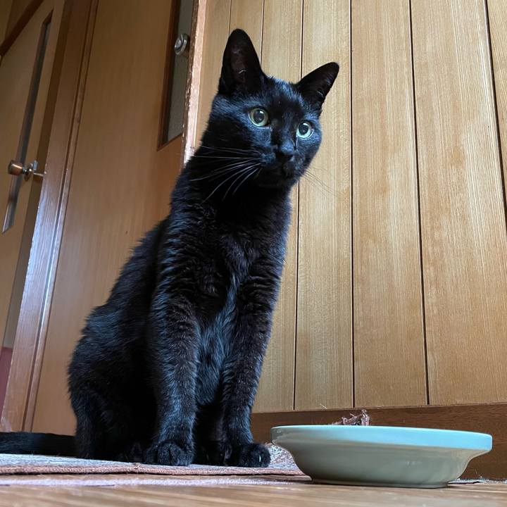 Cdc6eddb a1db 4d36 9d61 ef705fecd702 1655861629907