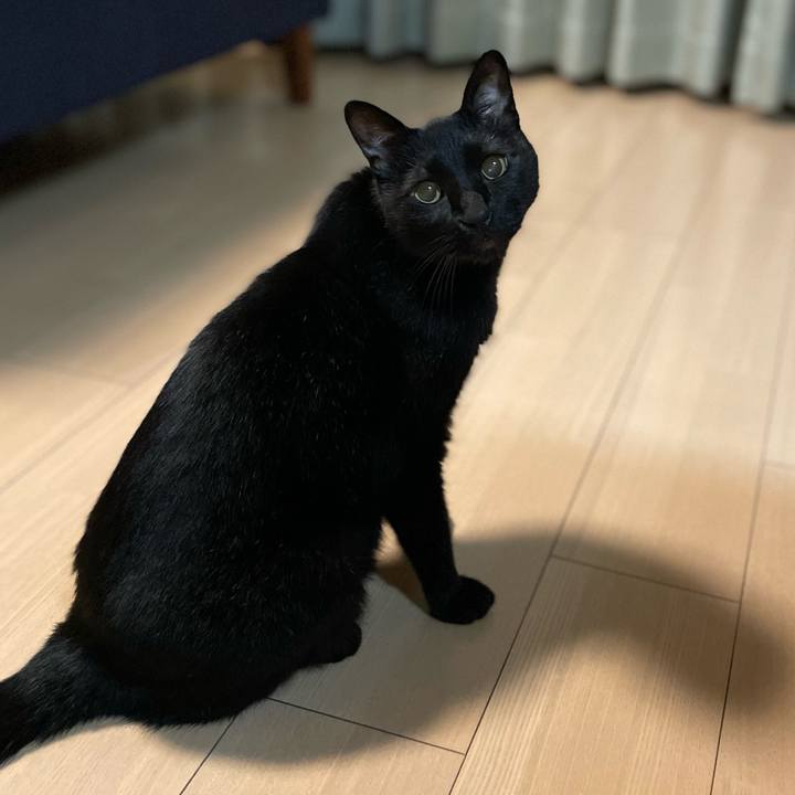 Cdc6fddc 282e 4aff 91f6 351e0b754a90 1724072350687