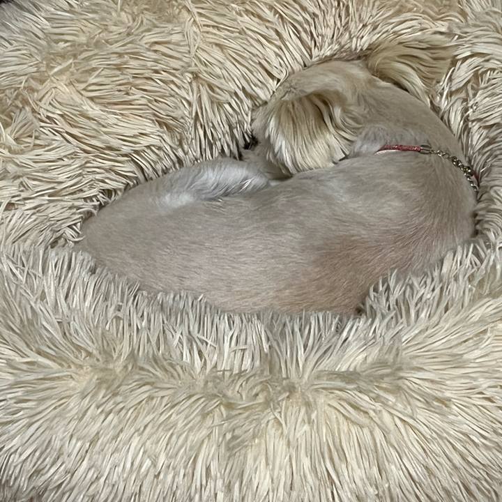 Cdc70126 b5a9 4424 b3dc c6864c142ef7 1652009173080