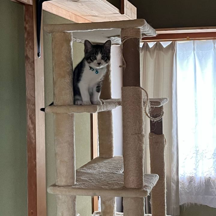 Cdc749f0 1f60 4a9e baea 5478c3aa695b 1766816008805