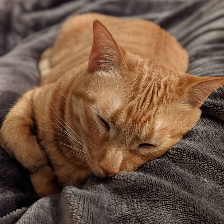 Cdc75bc4 f7fc 4e33 b987 a3d7f6e97749 1617708040612