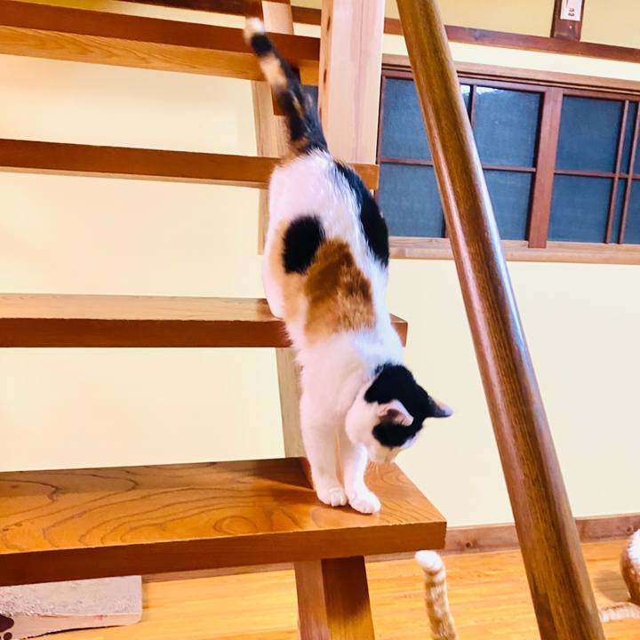 Cdc789f7 078d 4fba a567 48732d52f4a9 1660337858081