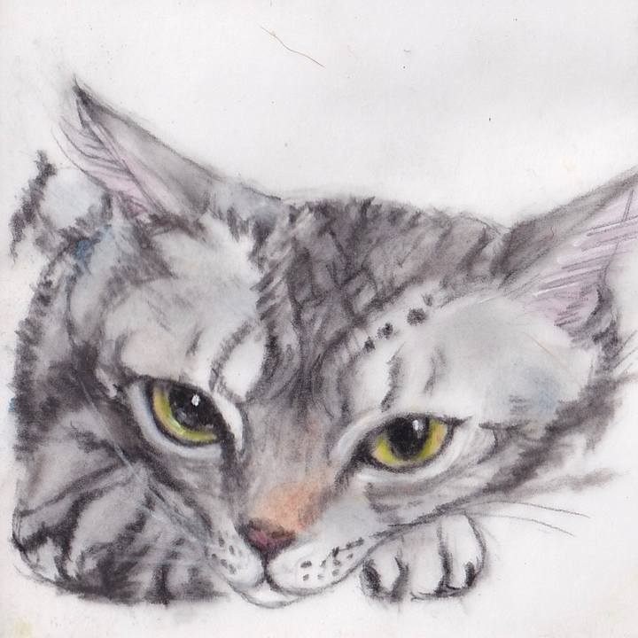 Cdc7f013 36a2 4349 991f d985dc1ee0e6 1673565315741