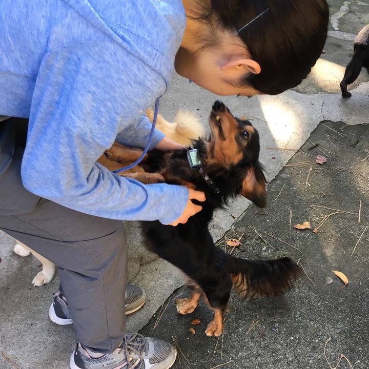 Cdc81f03 08d9 47e7 9676 2736e1390eac 1541411906157