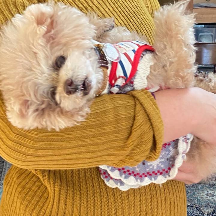 Cdc826ca a07a 4a4d bca2 19662c787a38 1767276961990