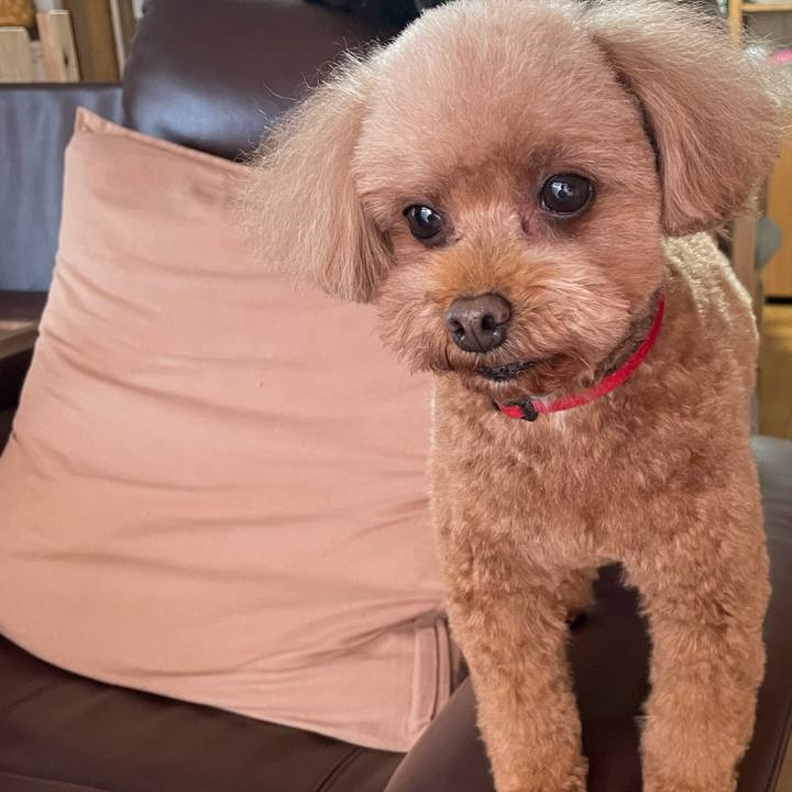 Cdc83140 1d40 4704 90d0 33f1a758aac3 1708750284208