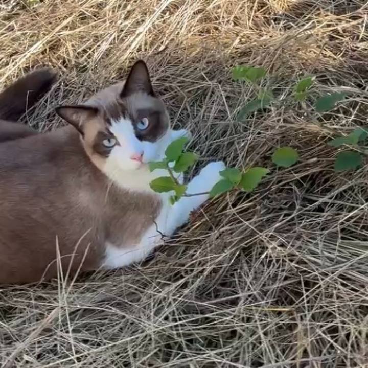 Cdc8389a 0614 4c67 9b3b 9a46ab568f16 1760080751952