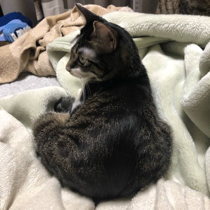 Cdc85ff4 4ebb 4aa6 8138 80d531ab1120 1540585906701