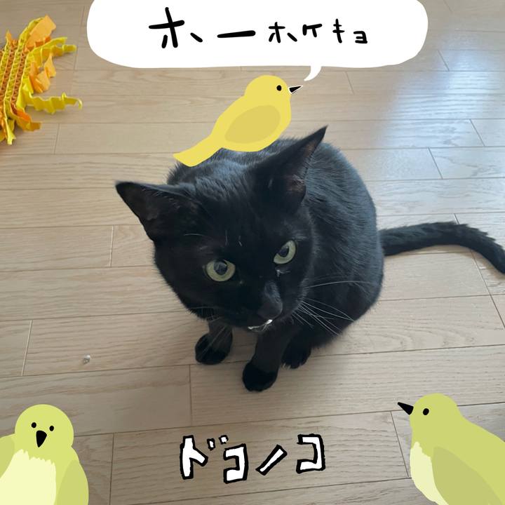 Cdc8651b e970 4e4b 9a2f 226436c12668 1711116931916