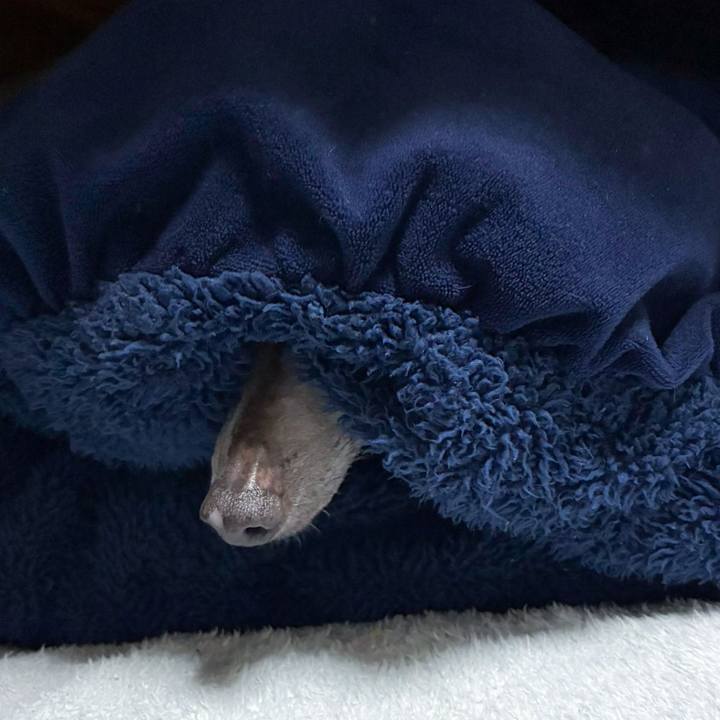 Cdc875cb 1725 4efb be3a 8c43e1ac5645 1766739812058