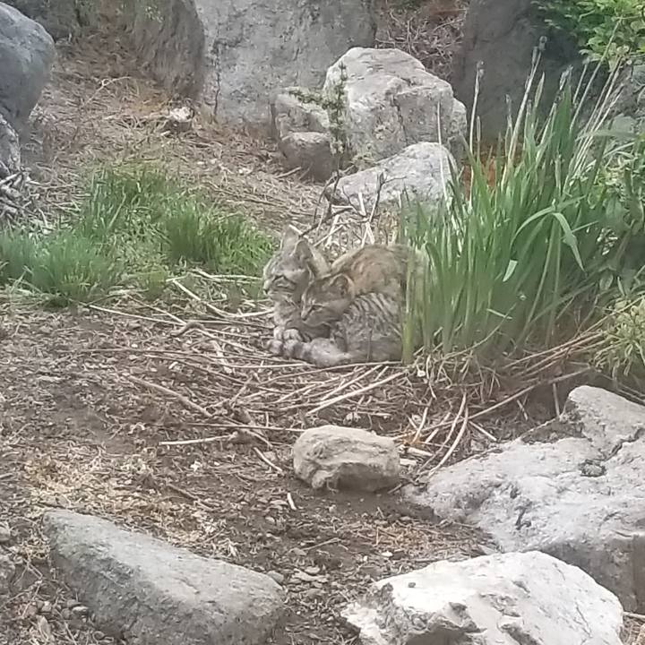 Cdc87798 2448 49db afc6 b2660471286e 1653976488096