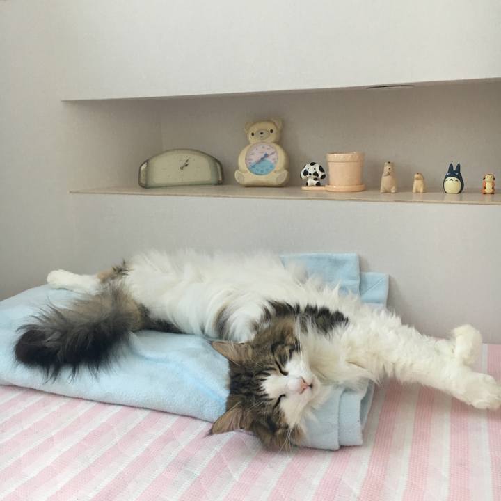 Cdc8fc14 3d04 4a82 a332 0cde7f7107a5 1531977343754