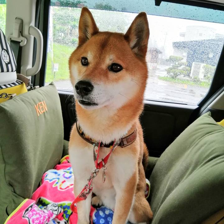 Cdc97623 4444 4ba5 83dd f692bc32a4c3 1621597633740