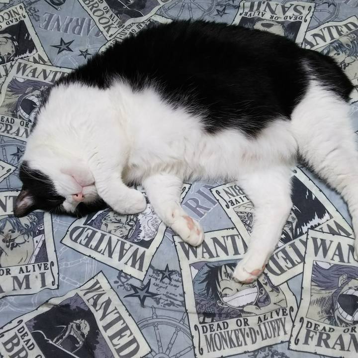 Cdc97fb5 f25b 4293 a9c2 12c36ec23167 1531661024629