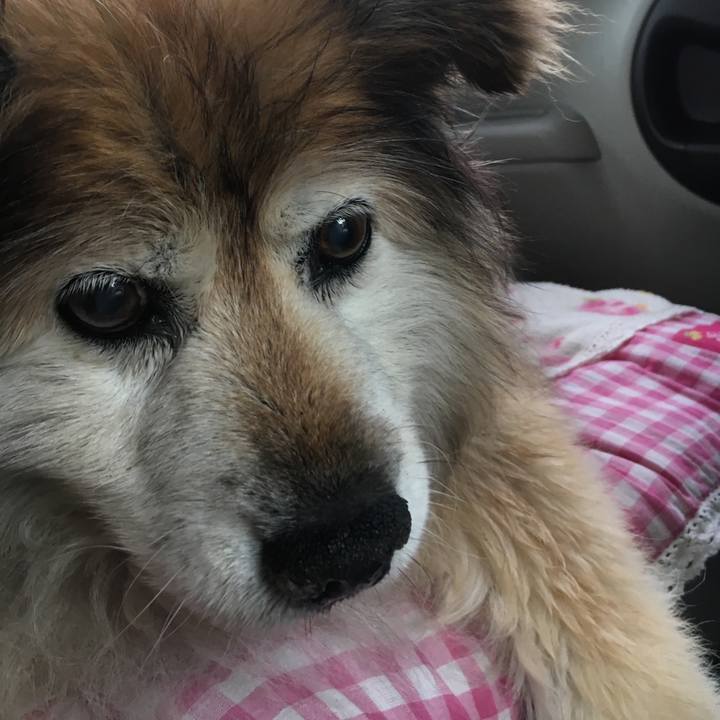 Cdc993b8 6793 4fd5 bdc0 ba2bf19c9f86 1580700891713