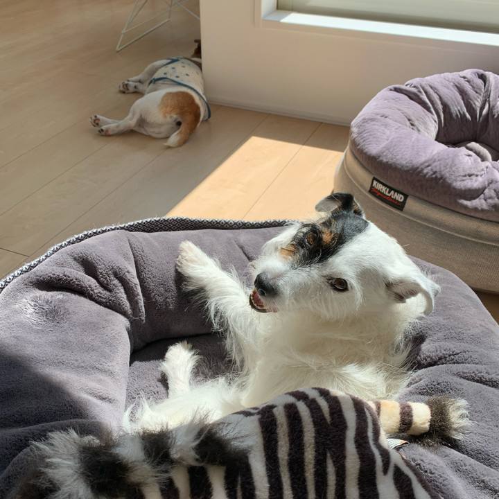 Cdc9a3b2 94ac 4c75 bb44 8927f9e67f0a 1631675615040