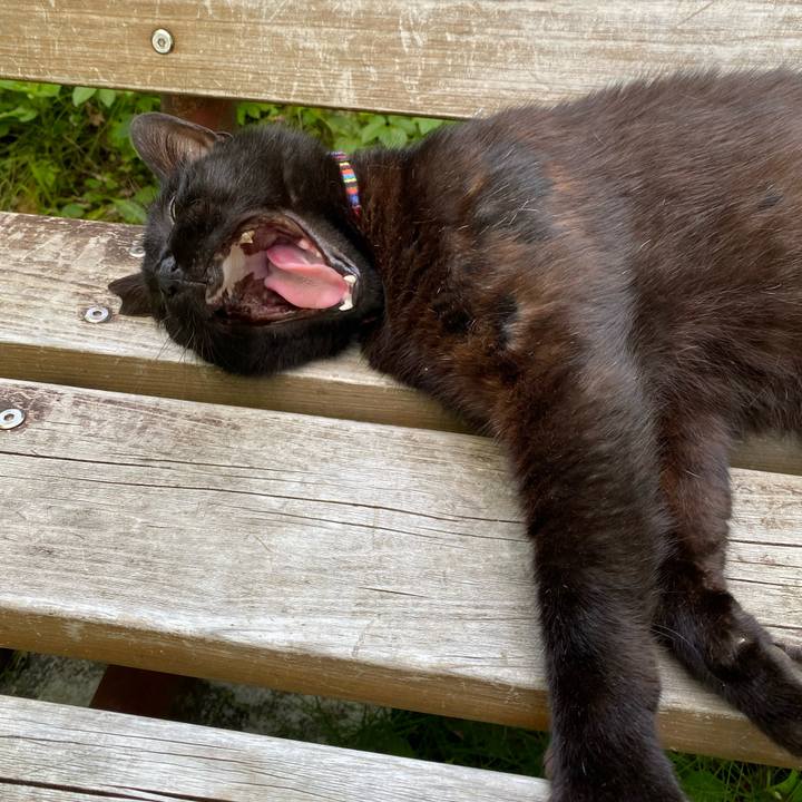 Cdc9dc66 dc3d 4962 bcc6 245f77b5e3a3 1654960545555