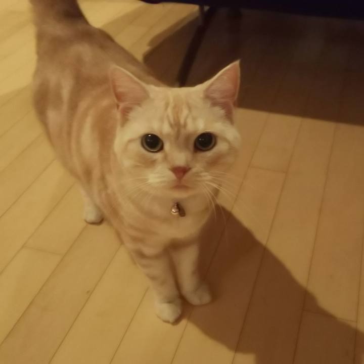 Cdc9ddab 4a94 41b3 9039 2ccc5a6e0bd4 1539596124252