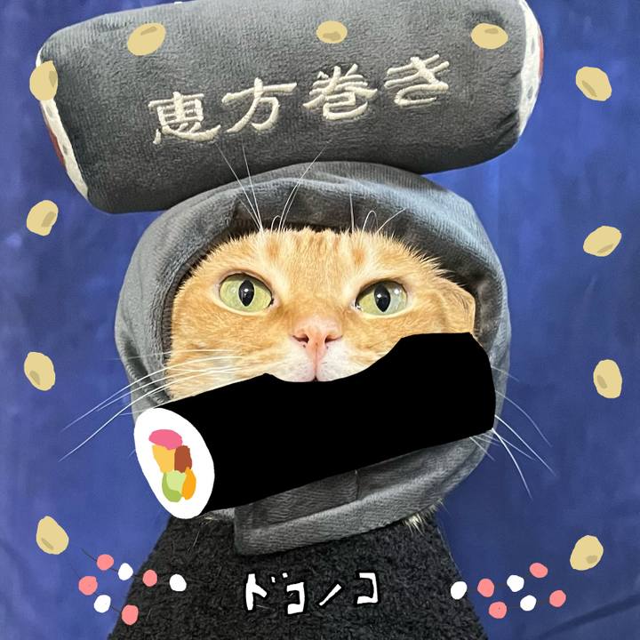 Cdc9fde3 1c9a 4cde 8ada 52483910303e 1741062585947