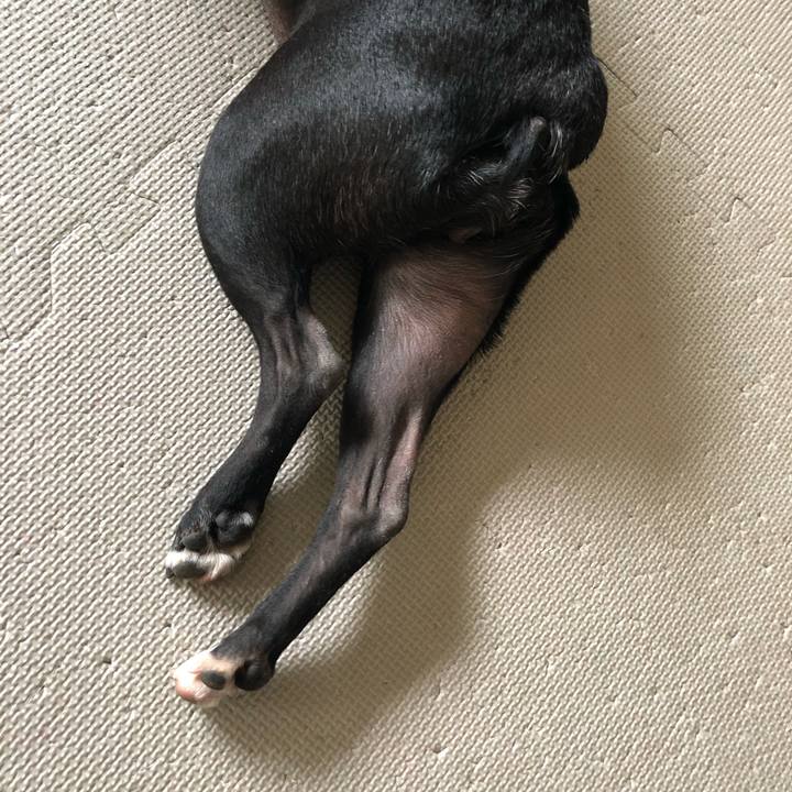 Cdca32f6 6f8e 4d82 816f 6fb1cad98d5c 1685081874913