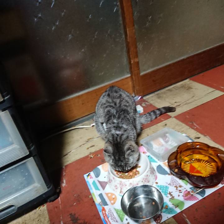 Cdca511c 61dd 44b7 8cd2 210653df9360 1589142090389