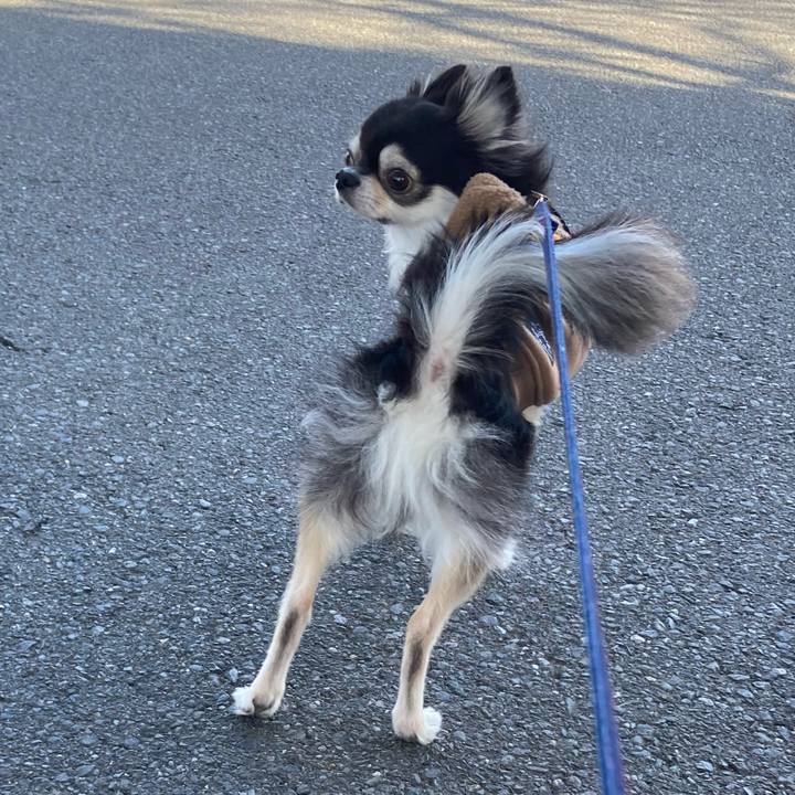 Cdca5a48 eafe 41b9 8cc2 4b12b83106f7 1700892547840