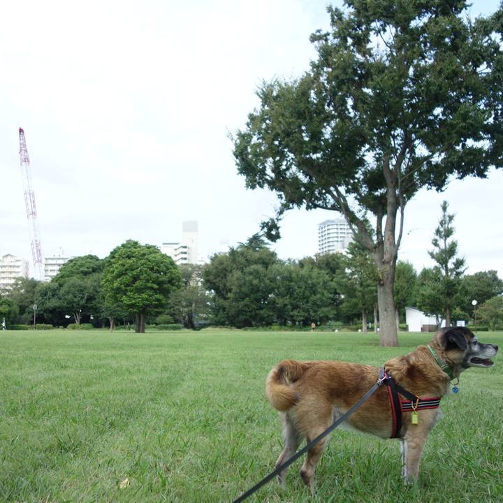 Cdca5c46 bfbc 4f49 b93b eea6f525a51f 1537320002988