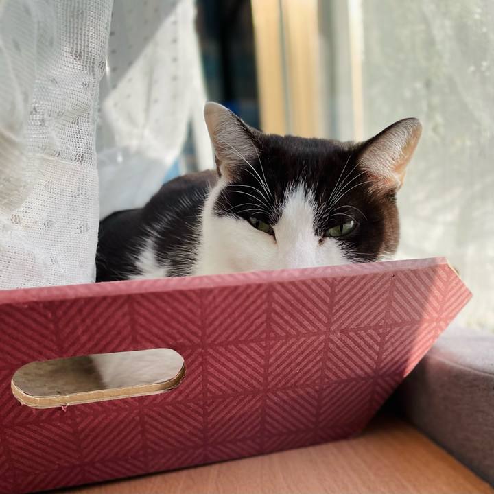 Cdca7040 55e2 4e74 84b8 74feaaecbc33 1642733292511