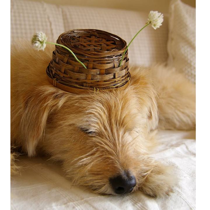 Cdca765d 46a6 4b07 9a8e 8bfb14bdc664 1591575293463