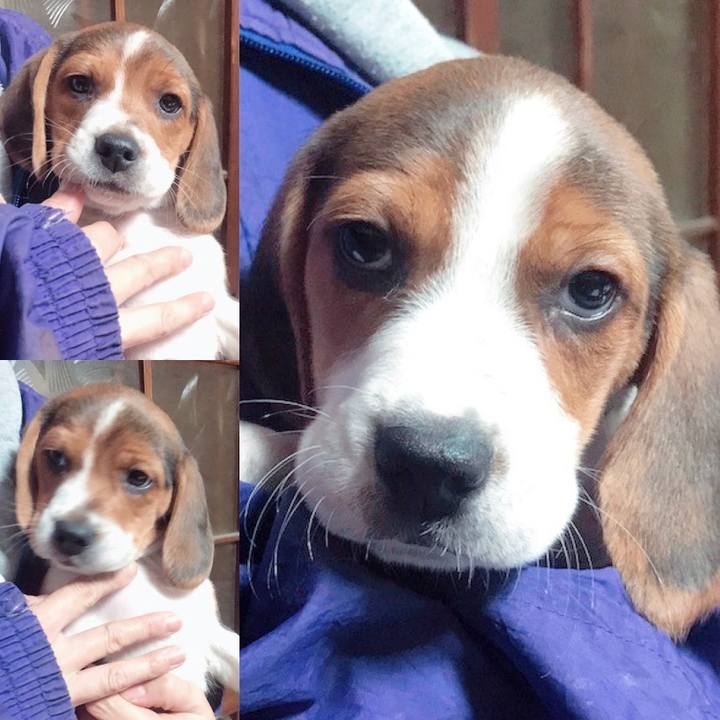 Cdca861c bb11 4d1c 9bce 03fd07622d44 1571127076613