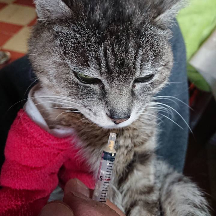 Cdcaaafa 1965 46e6 b2e9 153837119f20 1586643935846