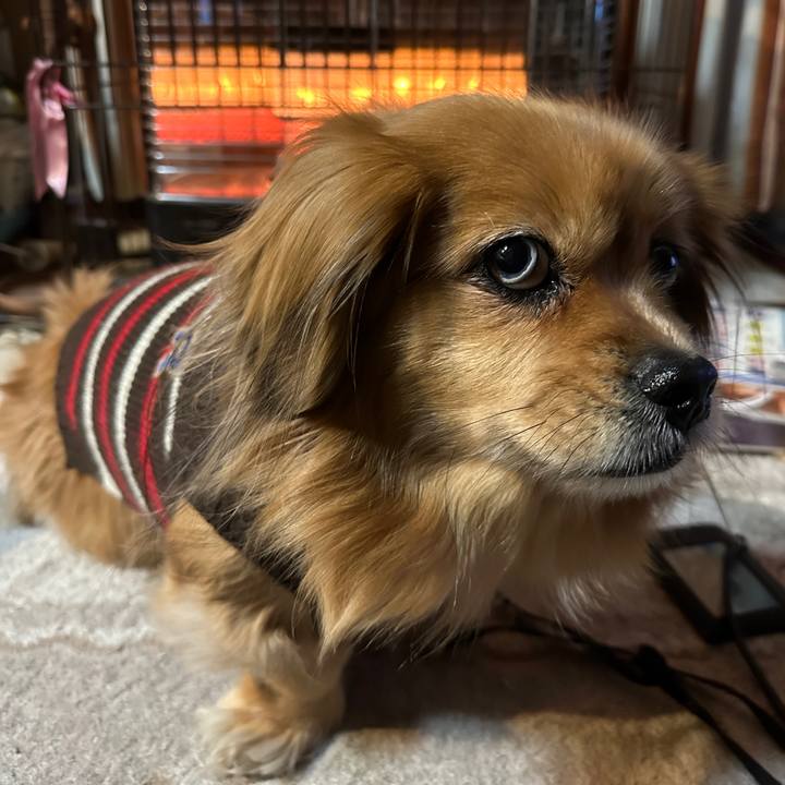 Cdcabf90 deff 4224 8dc9 f6a5a472a937 1705440538860