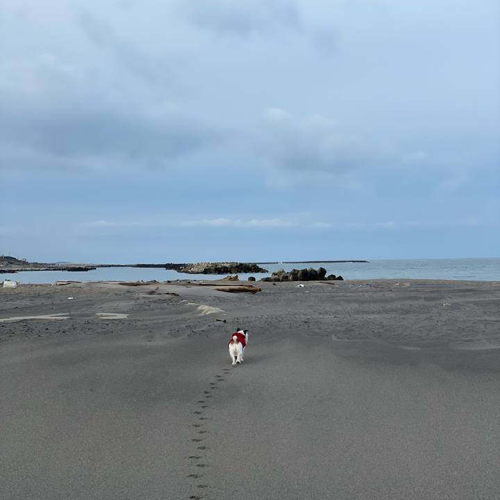 Cdcacb7f a8ef 4631 bbac 058e314fae1d 1615760617505