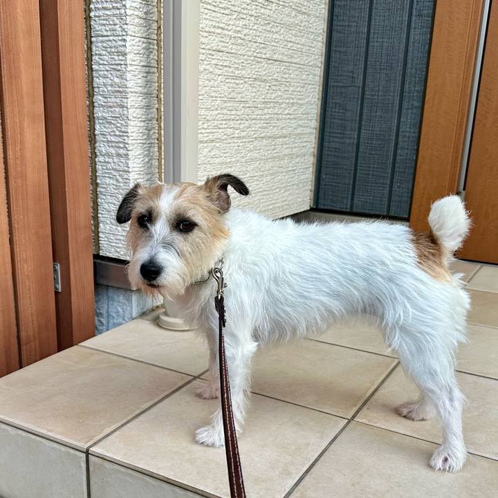 Cdcb3d8f 14a3 4594 afc3 474abe65c1fb 1758878751974