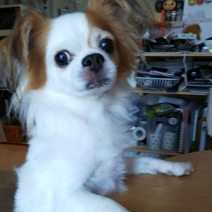 Cdcc4915 b454 40ae b42f d2b89d25e104 1694178306722