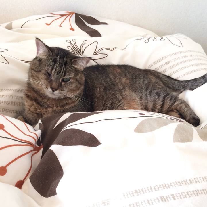 Cdcc5568 c2e9 4e51 b06a f274f590432b 1573736752266