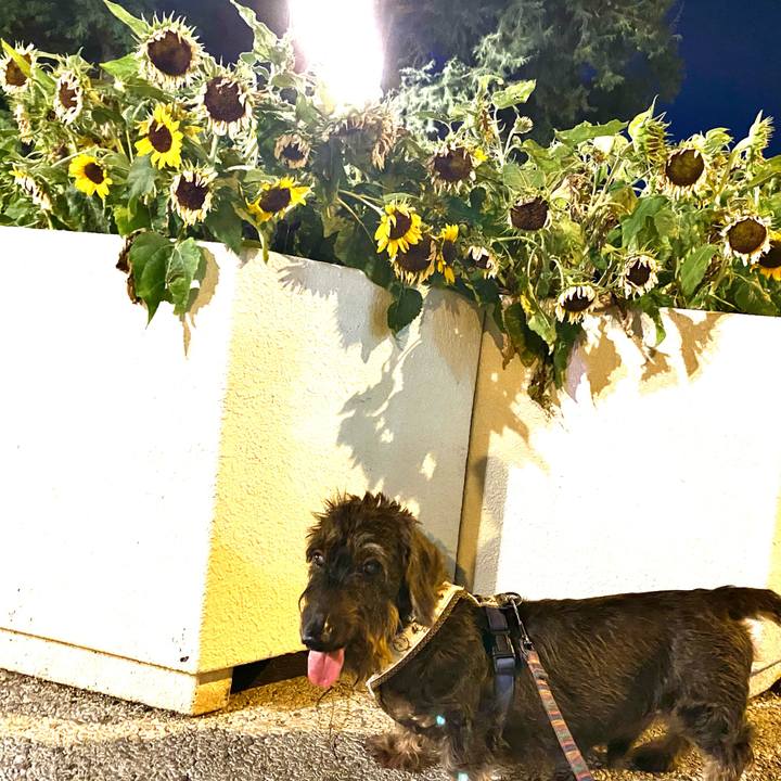 Cdcc8de1 852a 4a00 bb13 043ca4d9f7ee 1627235651873