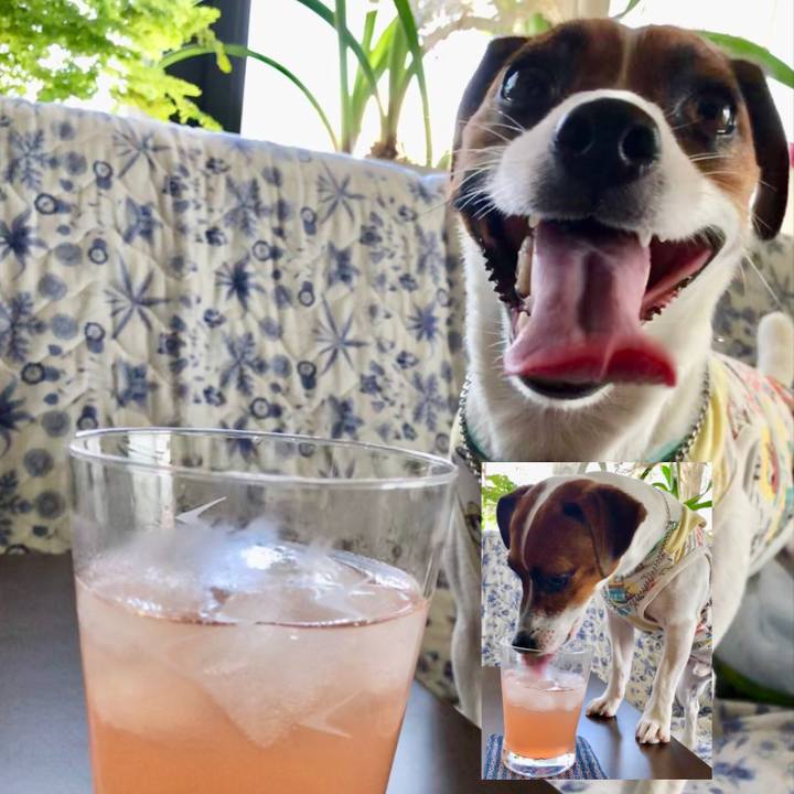 Cdcd28f3 9c77 4b53 9b71 c3e3522fe557 1564977869524