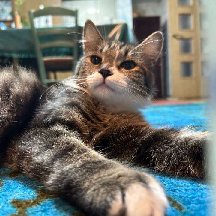 Cdcd458a d316 4cb6 8980 d76be76570b5 1729034186398