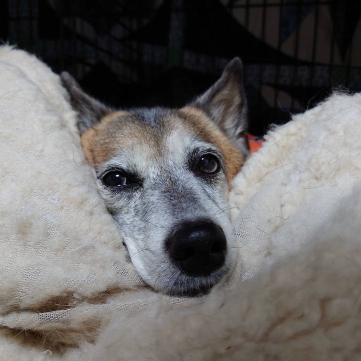 Cdcd7099 8747 4848 99a8 c5a2c4319531 1637582452959