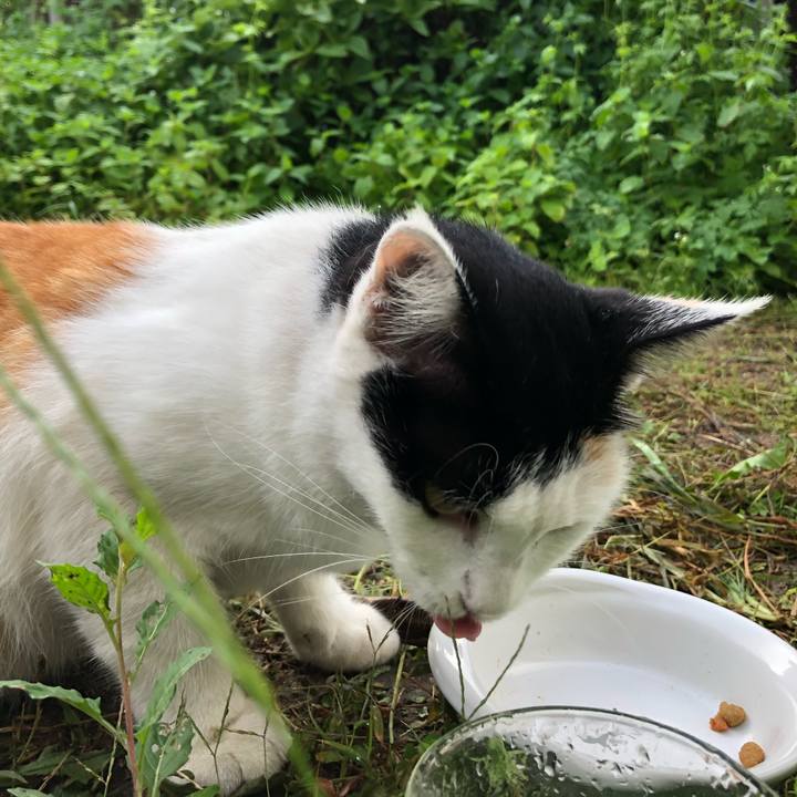 Cdcdec4f cc4f 4f78 8999 7843eafed573 1600294633409