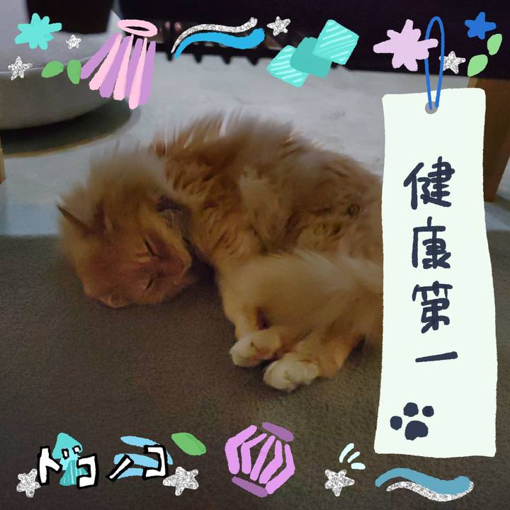 Cdcdeca2 9369 4b97 bc49 70ce779f72b6 1720759438092