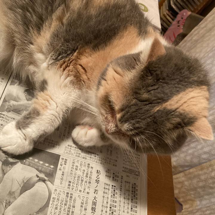 Cdcdf529 dd2d 4777 aba4 7456d4c64e82 1657620298749