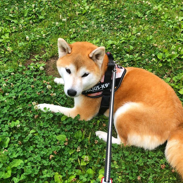 Cdce6104 b5b8 48be 9ec6 7da9909071fb 1594524643374