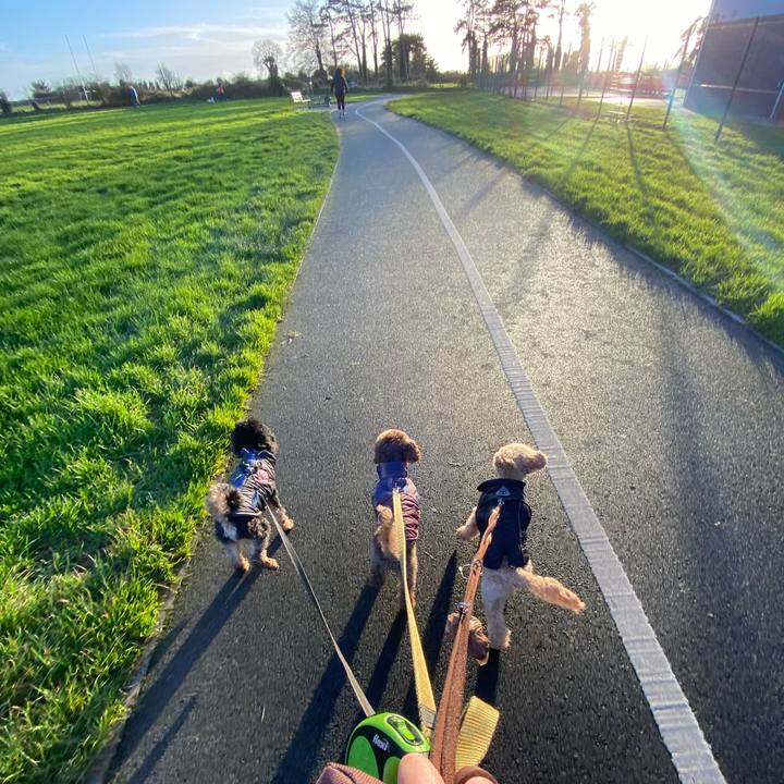 Cdce8ba8 4bc2 4c49 9f5f 30af300de05c 1640387789061