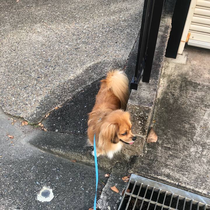 Cdce95a2 d9e3 4f16 8552 39262da347ad 1537743020644