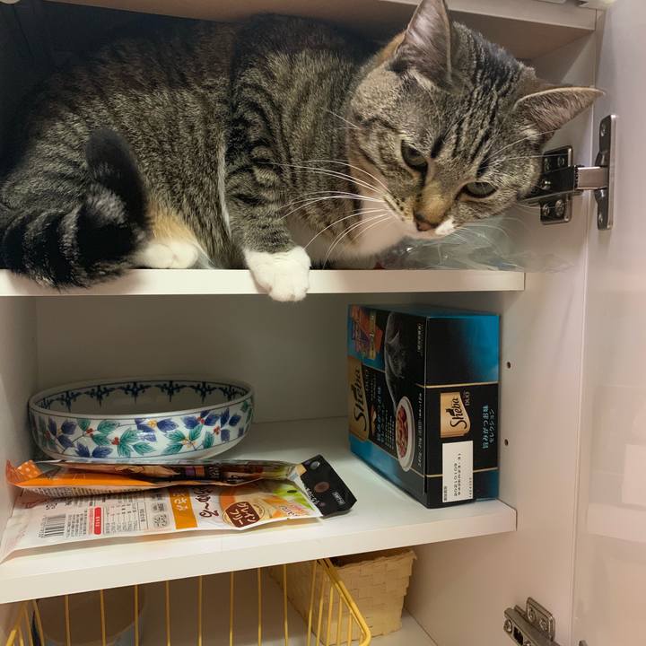 Cdceb5ab 639c 40b8 ac46 1be95efdca9c 1582335053423